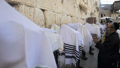 61e4386f4c59b73c7d48fefd