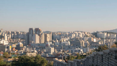 61e531ed4c59b72b6a4128c0