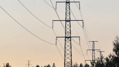 61eaa969423604690f1d3a11 1