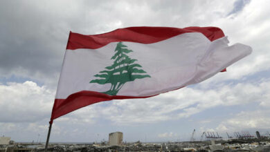 61eea0064c59b740931c9900