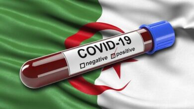 61eecb434236040ab3622c35