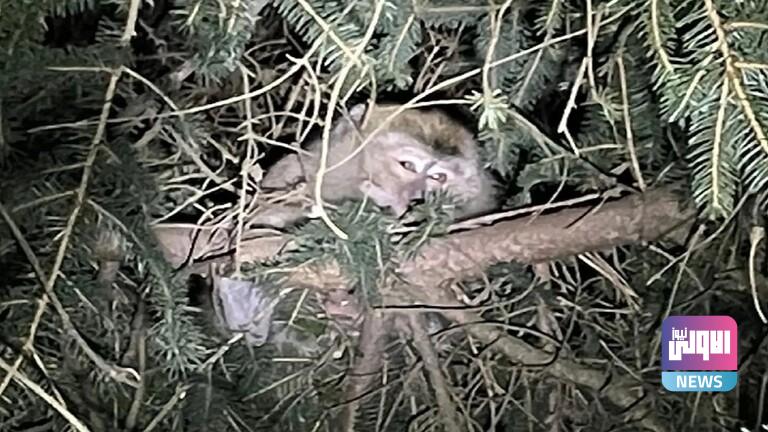 61f0ef4a4c59b70e795d2a06