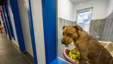 61f0fd4b42360462e76cf78e