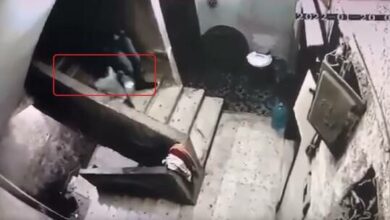 61f13ca84236042cdb558f44