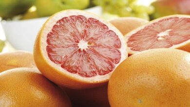 61f25ca442360430030de7f8