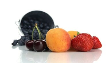 61f389944236041ac36c4459