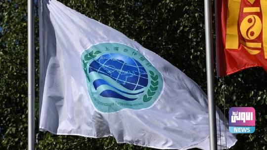 61f3a2e34c59b7477911c03d