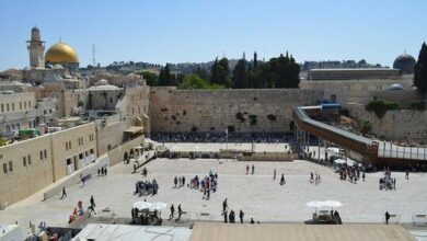 61f3d9d04236047825473485