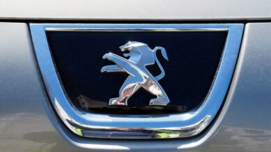 61f3ffc34c59b71ca56f5b84