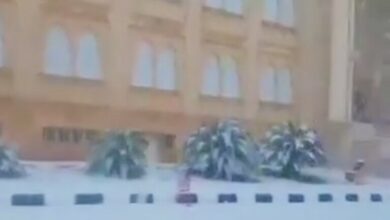 61f532e9423604057f08e662 1