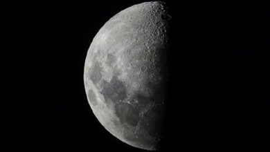 61f581484c59b73085167faf