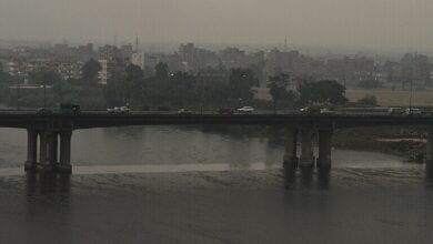 61f6b464423604493a4b186c