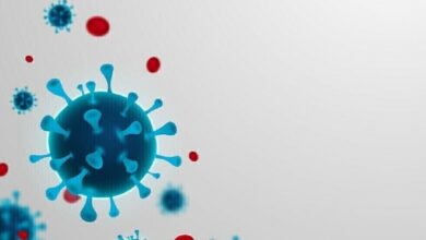 61f6c27e4236044bec5e13f5