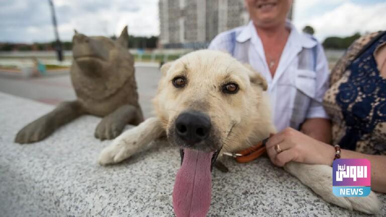 61f7690d4c59b73c977a4a04