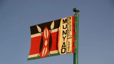 61f7ba094c59b7627e76bba2