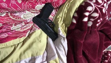 64D5ED05 D0AD 40F1 990D 8AF9C47EC569