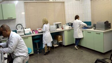 71812022 b3f734b1 2747 48d4 8b3b 9cb35d4a4460