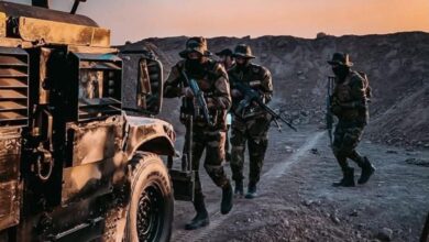 7302E8FA 6BD1 41E8 BE2D B02374276EF7