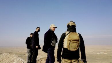 76630458 BBE4 4BA7 87E4 A4BD715A6698