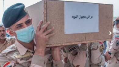 77504735 5F71 405C BE78 EABCE27708CB