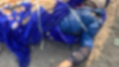 85013783 F67E 4A60 962B 04FC171CDB94