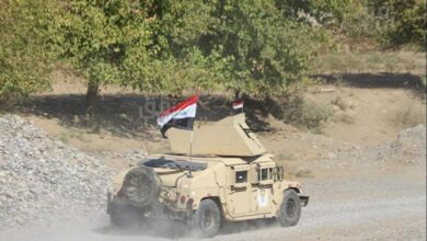 8DFD3A17 65AB 4796 AA9B 8603CF1130D6