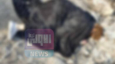 العثور على جثة مجهولة الهوية في بغداد الزعفرانية 14 9B59E0FE 1615 4172 804F 385447EF5814