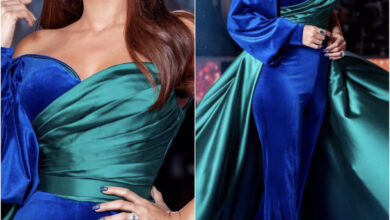 9DE60632 8EA9 4CF5 81FA 8CE4C09B1051