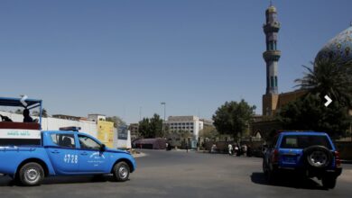 A72E3DC5 133B 4402 A712 F958AAB769DC