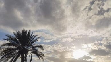 AFB64328 DFA3 478C 90DE D32C7AD6E220