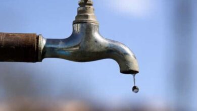 B460337D 1C3F 4782 BBEC 63DF063884D2