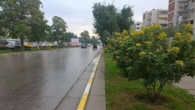 BAD16DCA E52F 45DF BBA5 72D8D0CBEB12