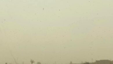 الآن.. عاصفة ترابية تضرب الأنبار 4 BD8245D9 F899 4387 818B 1F5D2940EA06