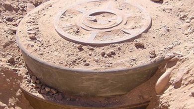 CD4D363A B297 41FE 9E98 527066A9EB9D