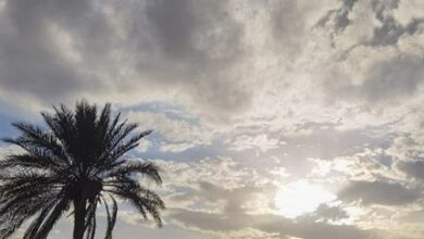 D070D6BC 3C6D 4DF6 8582 456709B24CA6