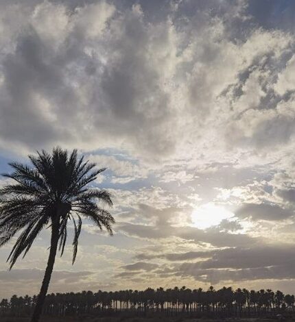 D070D6BC 3C6D 4DF6 8582 456709B24CA6