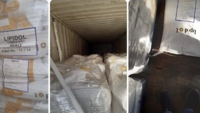 D22528DE F5EC 4D40 AEF9 3C2519551C6A