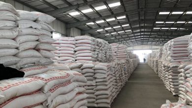 D518F13E 4D22 4377 BD7D 436603D6E708