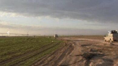 E06A3143 F1BB 4EC6 9B06 7B81A799711B