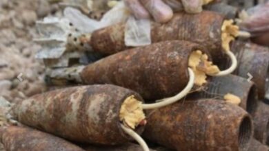 E0CC6AC2 79D0 4EE7 9316 DF332821A834