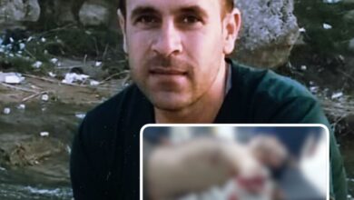 E0E8216C ACD8 4F57 B3F8 57150D5079F8