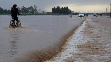 EB563186 0391 4F36 ACFE 46F5707BE9B5