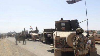 ECF94BDC 142F 43FF 9AA1 D047739AE079