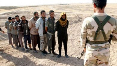 F7ED3A42 68A4 450D 9E0C 57FD1507DE41