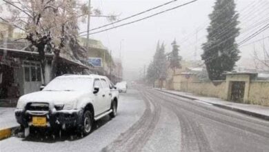 F9839C46 594E 4C11 B92D 965CBDD3FED8