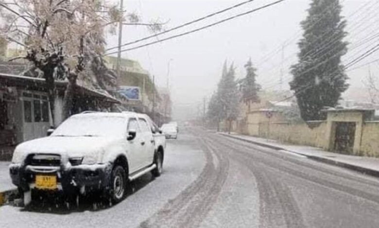 F9839C46 594E 4C11 B92D 965CBDD3FED8