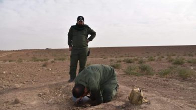 FB IMG 1638369152572