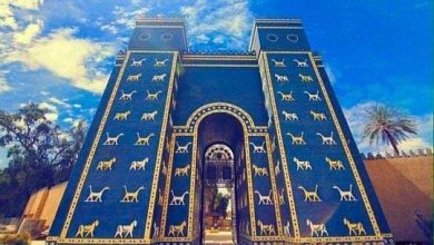 FB IMG 1641484665832