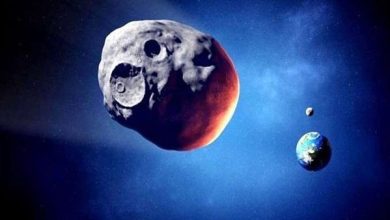 FD60367B 24D9 4635 96DC 59CC39FE388B