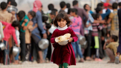 FE35EA0A 0EA3 45A8 A2DF D5F1AA26F163